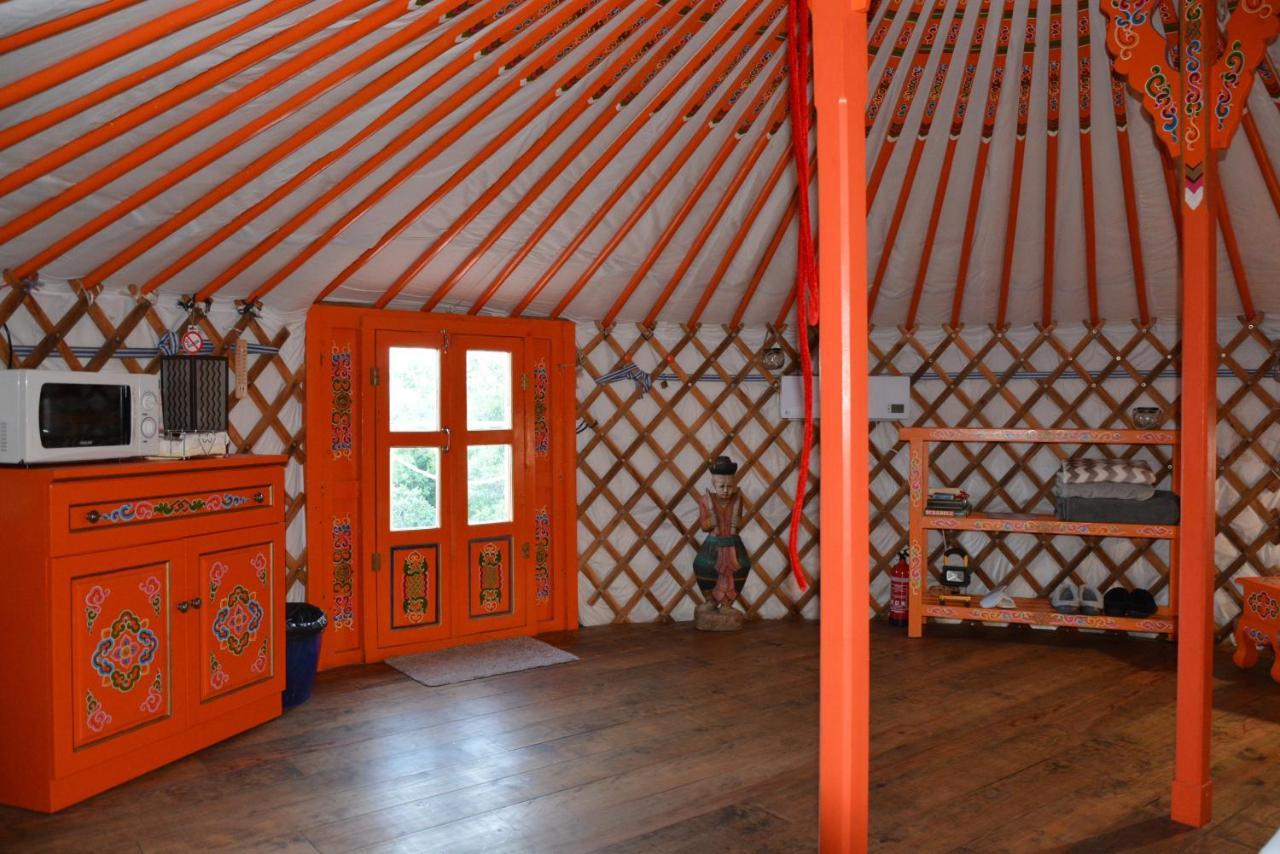 Les Insolites De Taracopala Solliès-Toucas Zewnętrze zdjęcie